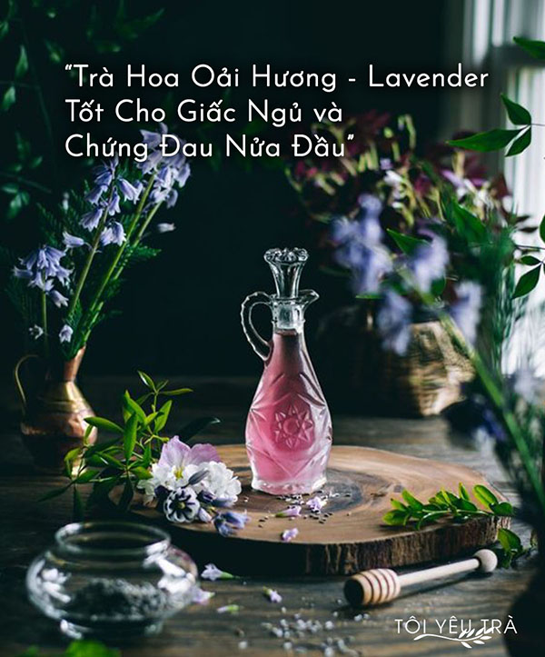 trà hoa oải hương lavender giúp ngủ ngon