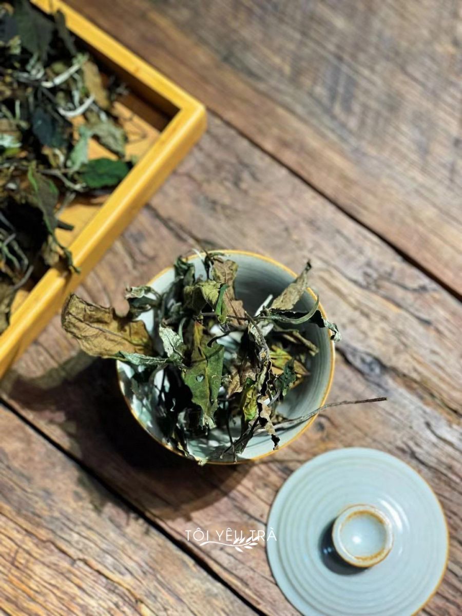 Trà trắng mẫu đơn (Bạch trà mẫu đơn)