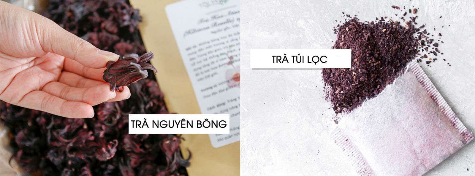 Lợi ích sức khỏe của trà Hibiscus và pha trà đúng cách