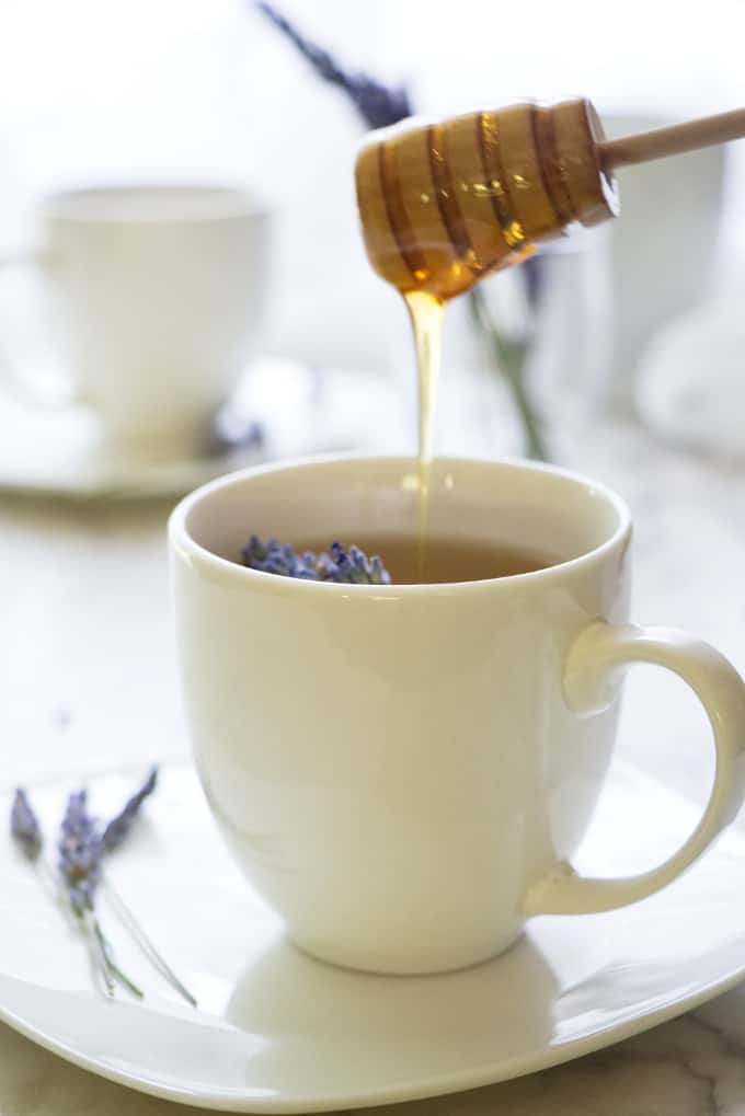 trà hoa oải hương lavender