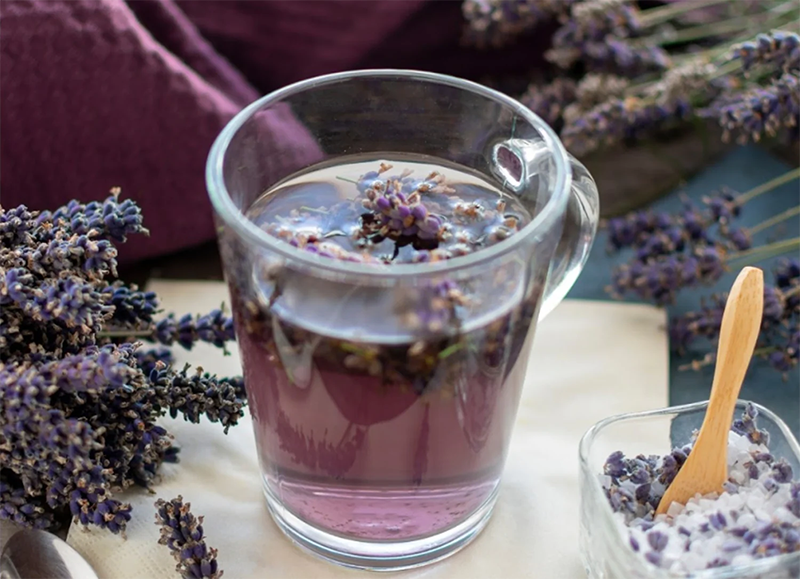 Lợi ích sức khỏe của trà hoa oải hương và hướng dẫn pha trà