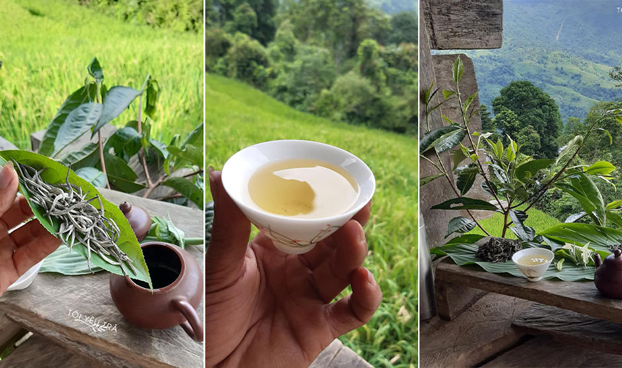 Những yếu tố tạo nên hương vị đặc biệt của trà shan tuyết Hà Giang