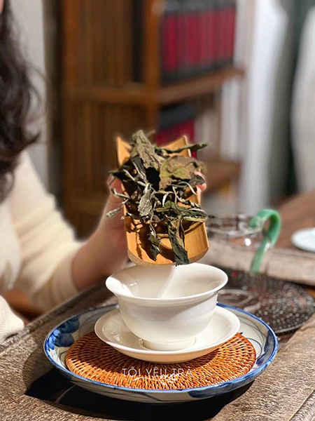 Giới thiệu về Bạch trà Mẫu Đơn