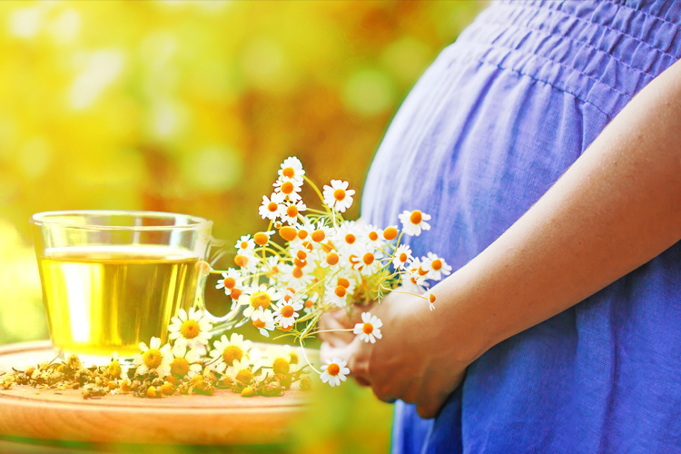 ​Uống Trà hoa cúc khi mang thai: Có an toàn không?